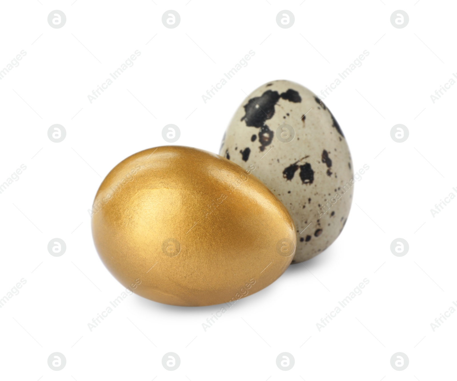 Photo of Golden egg and quail one on white background