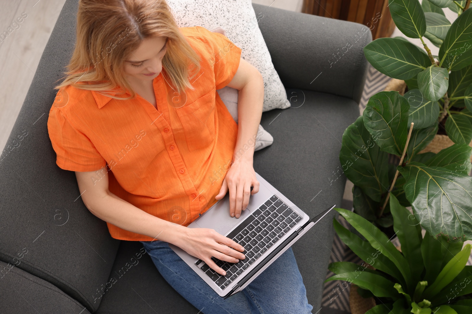 Photo of Woman using laptop on sofa in room with beautiful houseplants, above view