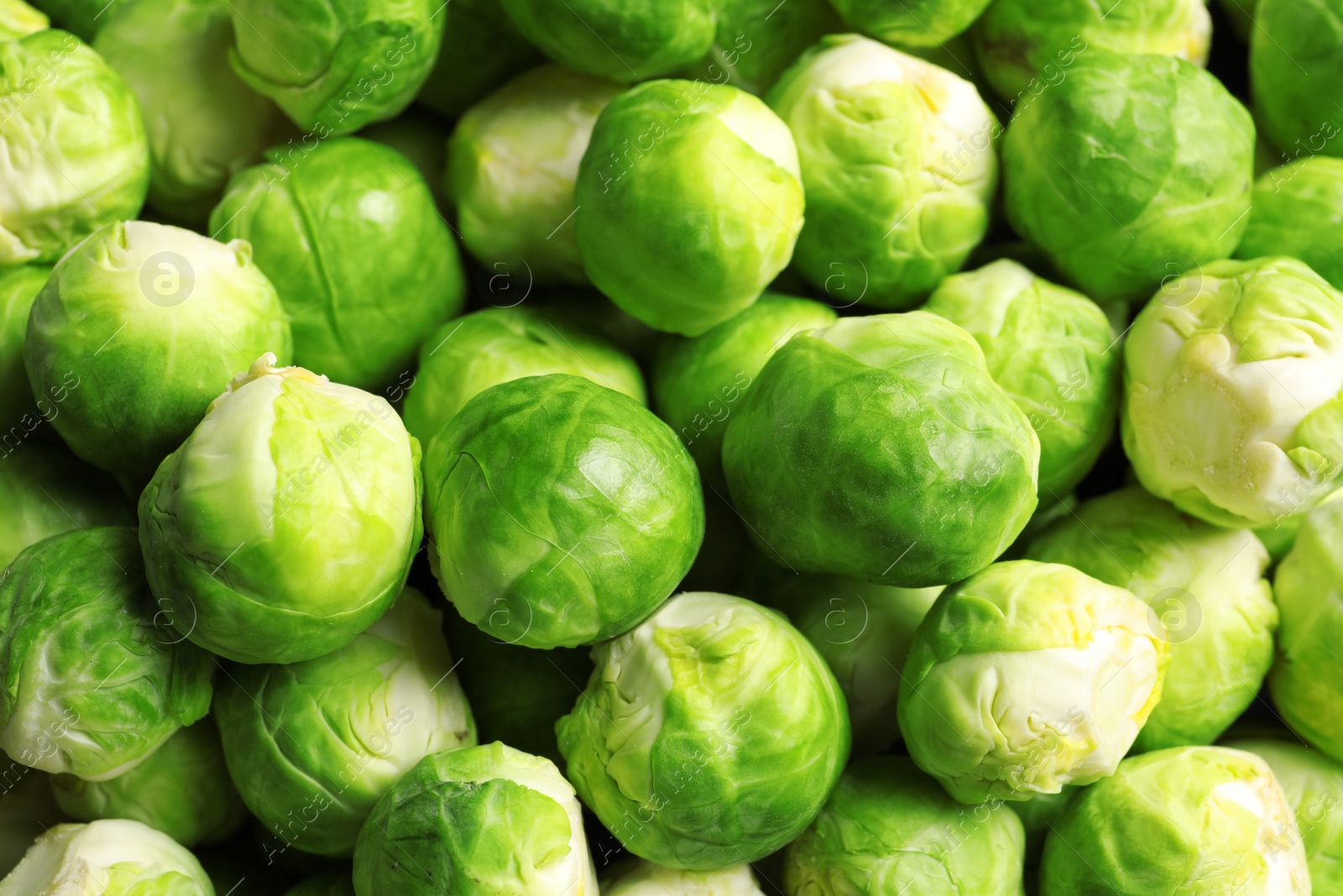 Photo of Pile of fresh Brussels sprouts as background