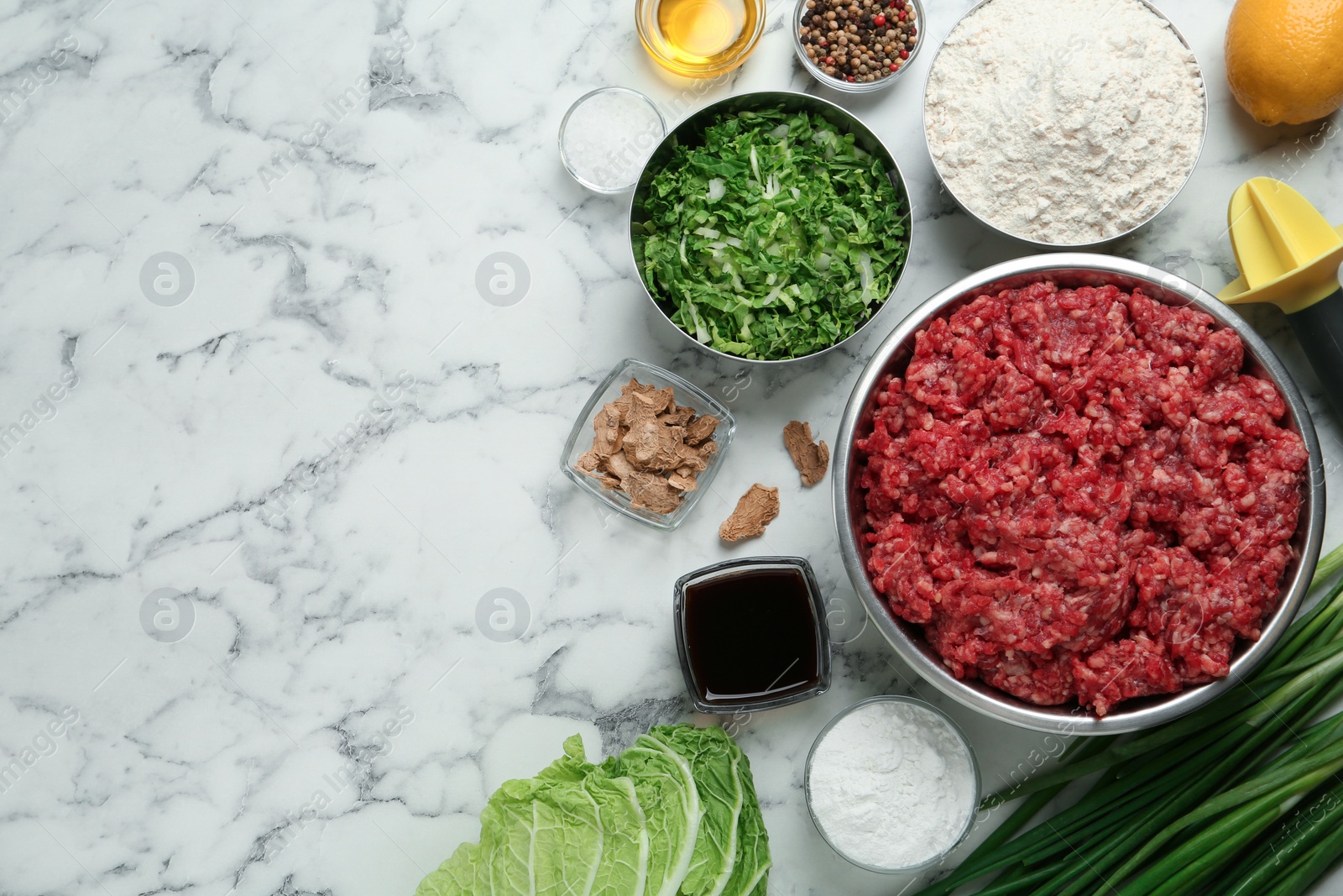 Photo of Flat lay composition with gyoza ingredients on white marble table, space for text