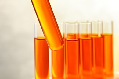 Photo of Taking test tube with liquid sample, closeup