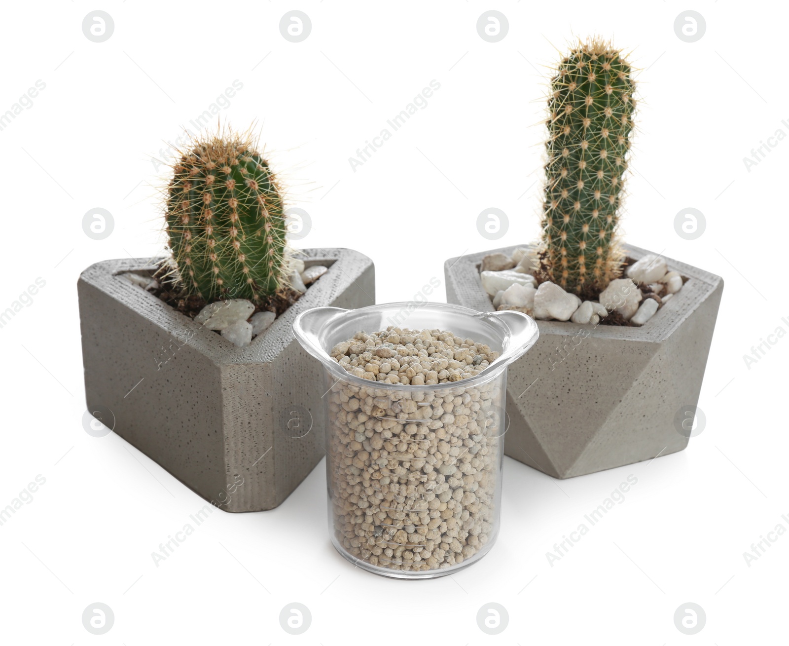 Photo of Beautiful house plants and granular fertilizer on white background