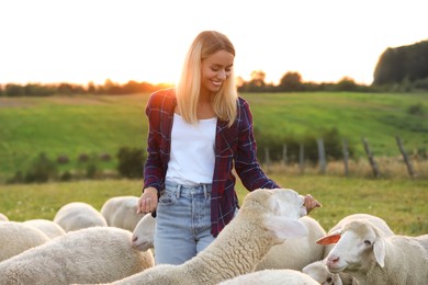 Smiling woman feeding cute sheep on pasture. Farm animals