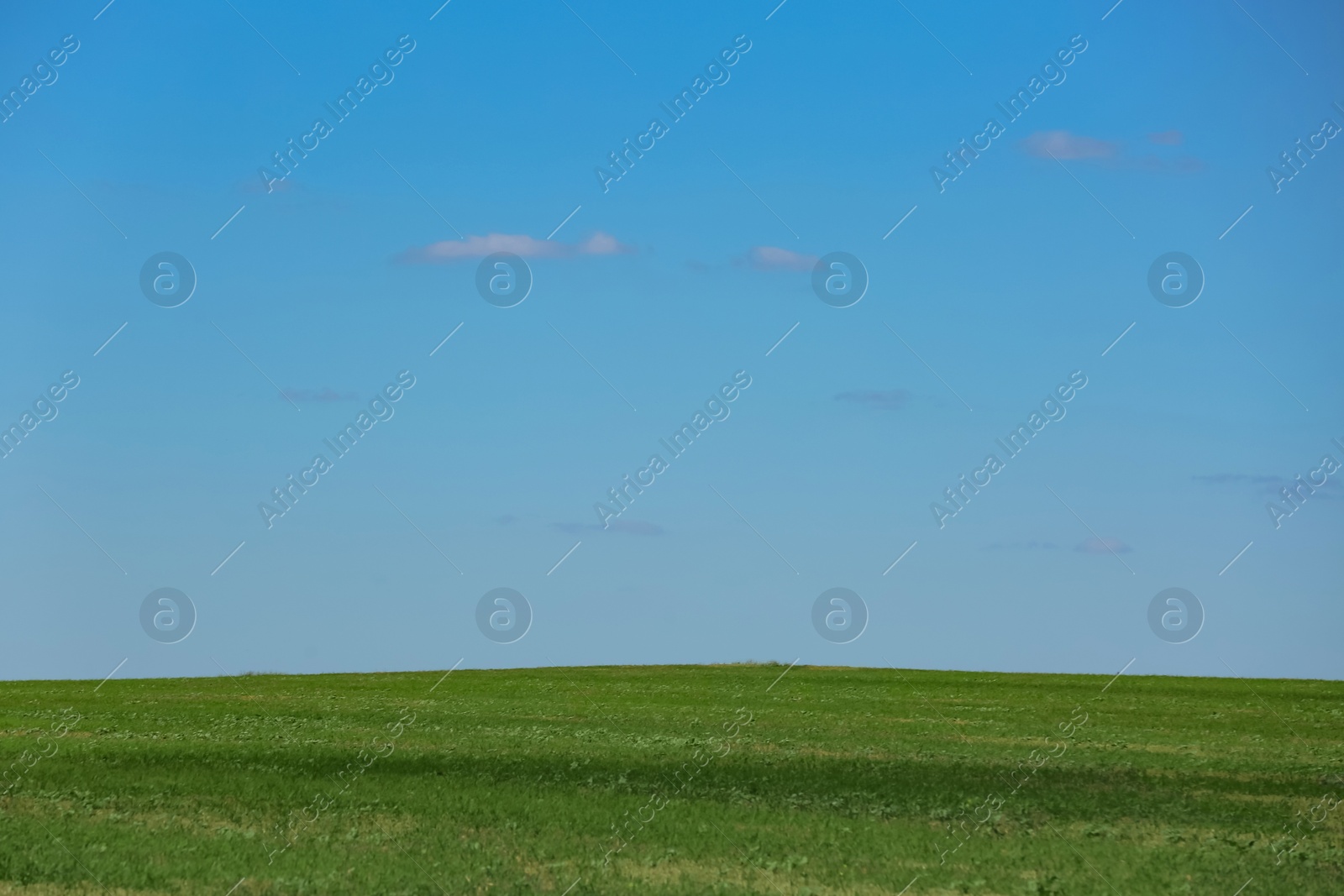 Photo of Beautiful landscape with green grass on sunny day