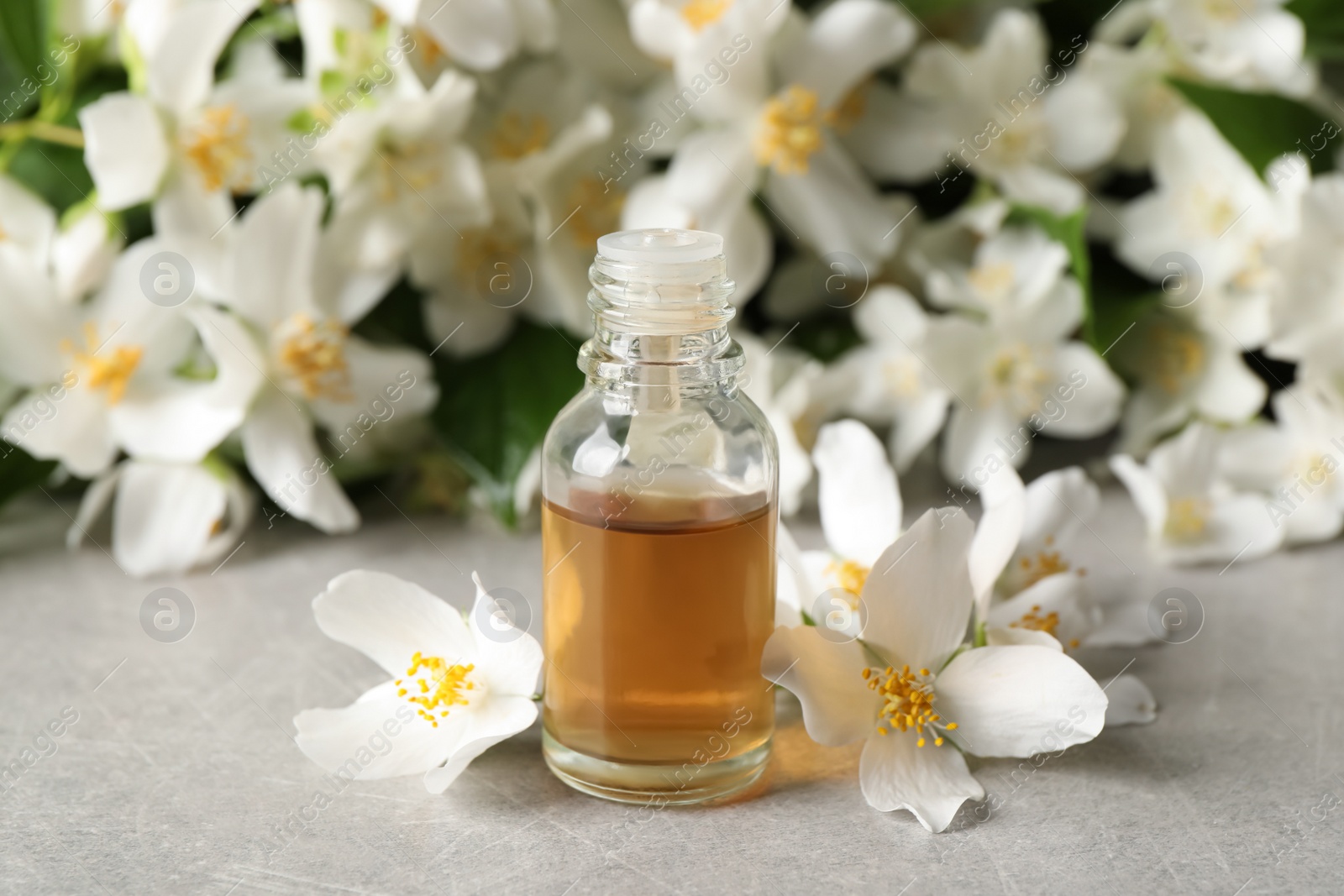 Photo of Jasmine essential oil and fresh flowers on light grey table