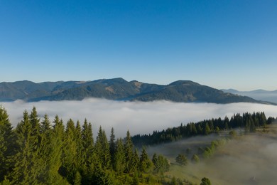 Image of Aerial view of beautiful landscape with misty forest in mountains