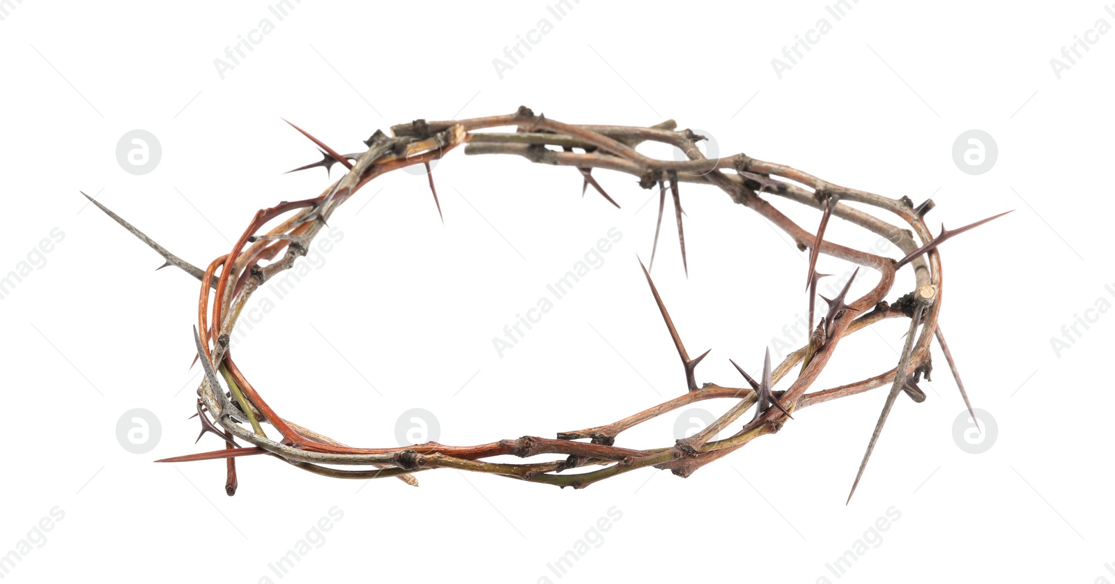 Photo of Crown of thorns isolated on white. Easter attribute