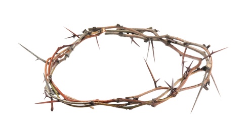 Crown of thorns isolated on white. Easter attribute