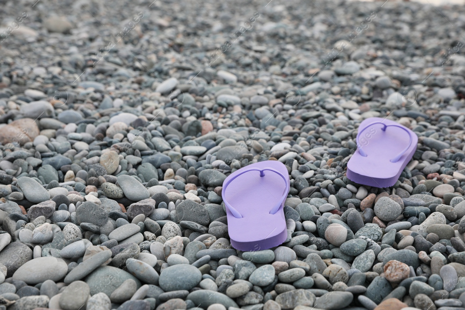 Photo of Stylish violet flip flops on pebble seashore. Space for text