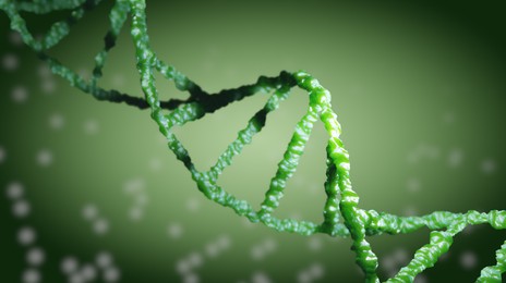 Illustration of Structure of DNA on green background. Illustration