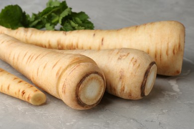 Many fresh ripe parsnips on grey marble table, closeup