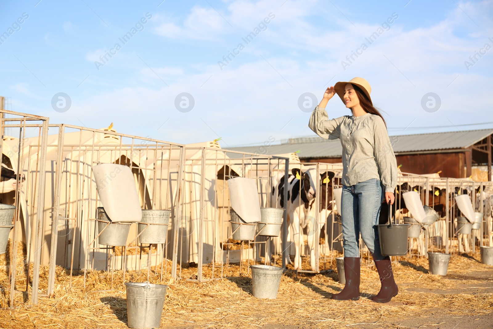 Photo of Young woman with bucket on farm. Animal husbandry