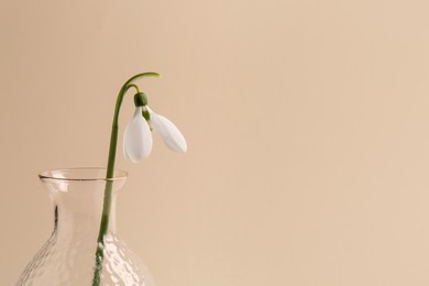 Photo of Beautiful snowdrop in vase on beige background, closeup. Space for text