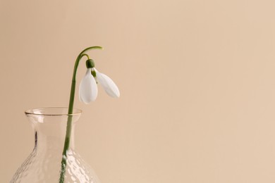 Beautiful snowdrop in vase on beige background, closeup. Space for text