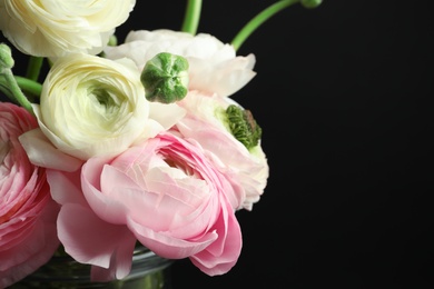 Photo of Beautiful ranunculus flowers on black background, closeup