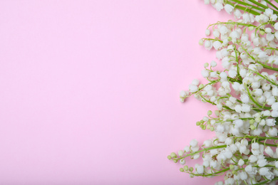 Beautiful lily of the valley flowers on pink background, flat lay. Space for text
