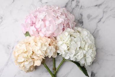 Photo of Beautiful pink hydrangea flowers on white marble background, top view