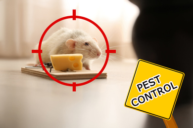 Image of Gun target on rat near mousetrap with cheese indoors and warning sign Pest Control