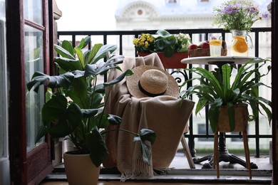 Relaxing atmosphere. Stylish furniture surrounded by beautiful houseplants on balcony