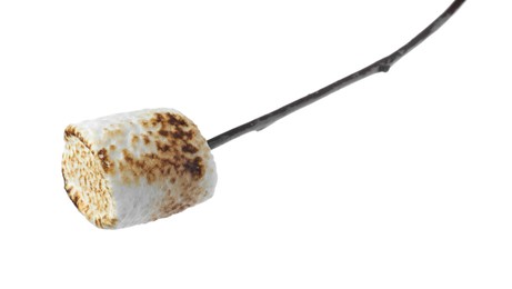 Photo of Twig with roasted marshmallow isolated on white