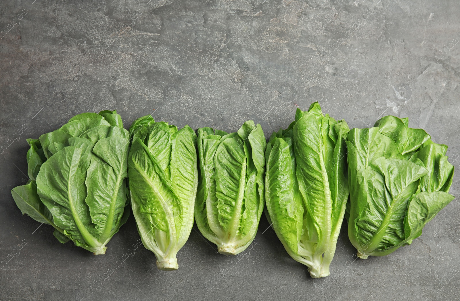 Photo of Fresh ripe cos lettuce on gray background, top view