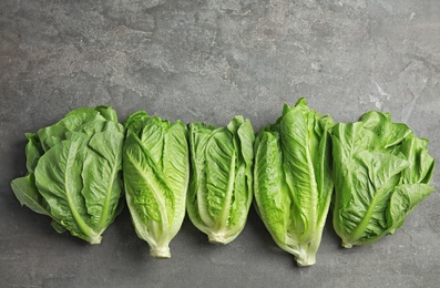 Fresh ripe cos lettuce on gray background, top view