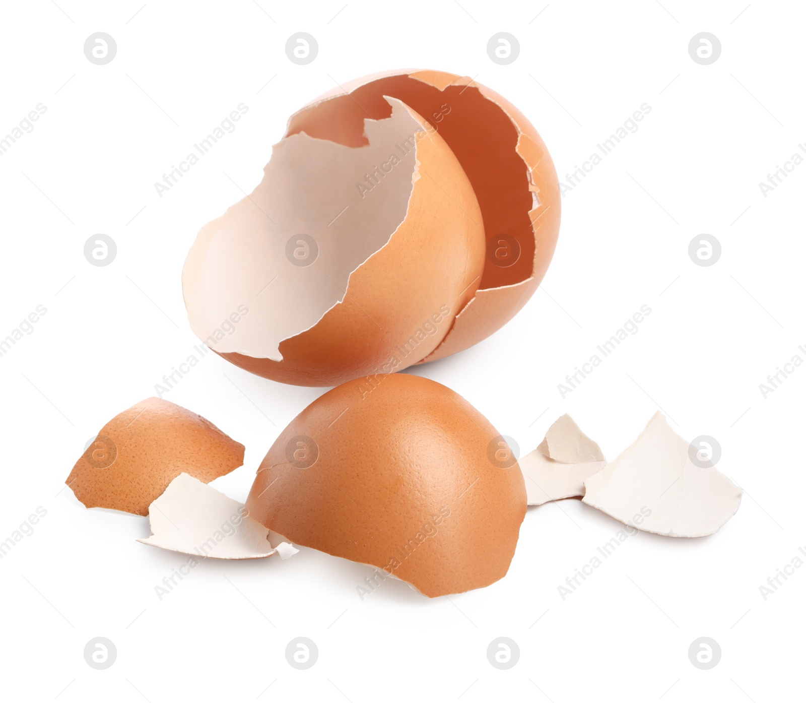 Photo of Shells of chicken egg isolated on white