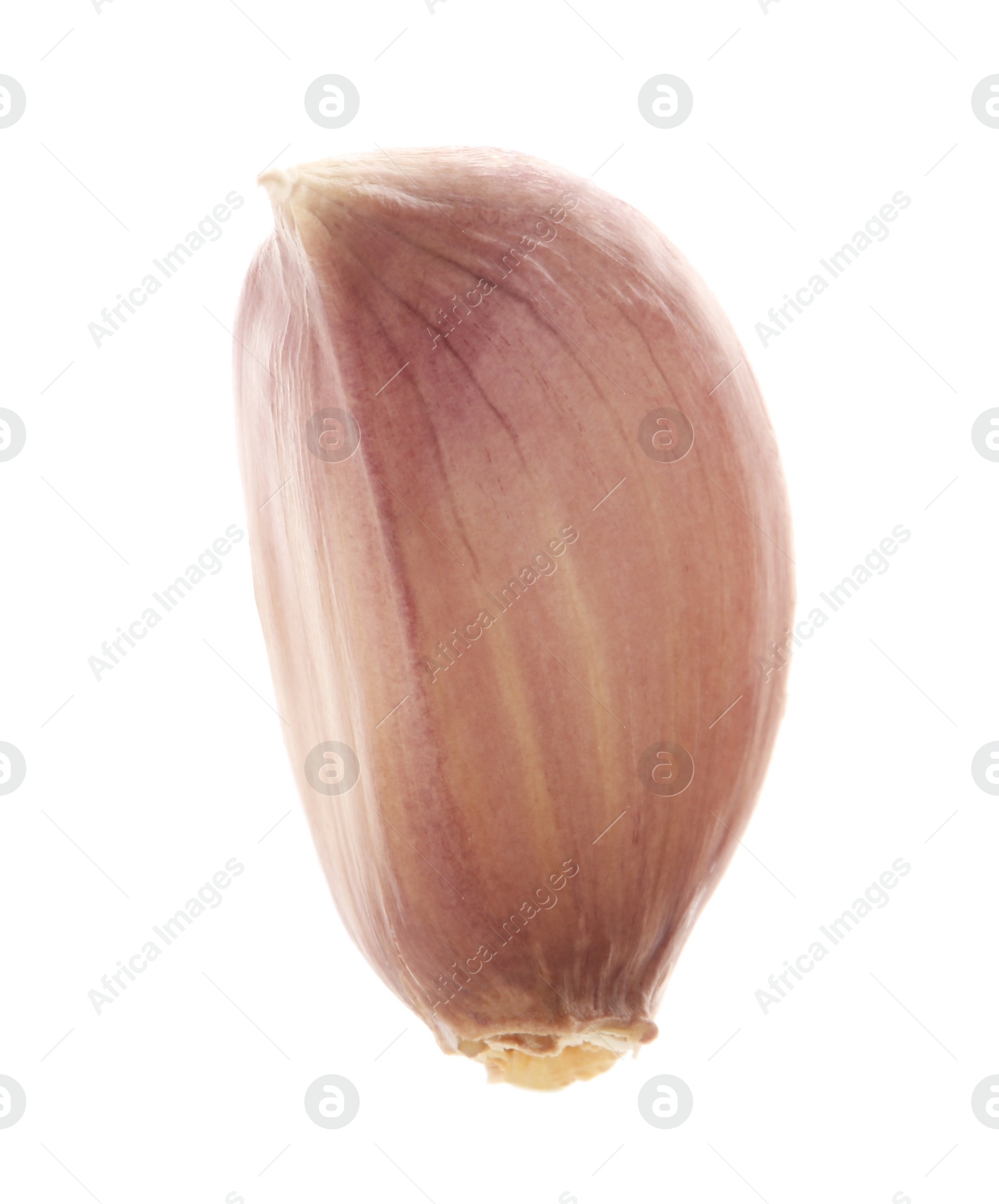 Photo of One unpeeled clove of garlic isolated on white