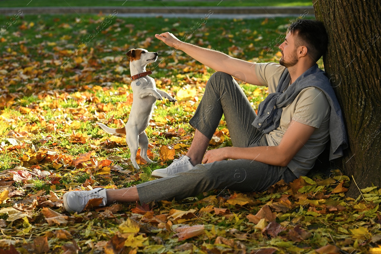 Photo of Man with adorable Jack Russell Terrier in autumn park. Dog walking