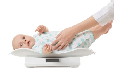 Doctor weighting baby on scales against white background