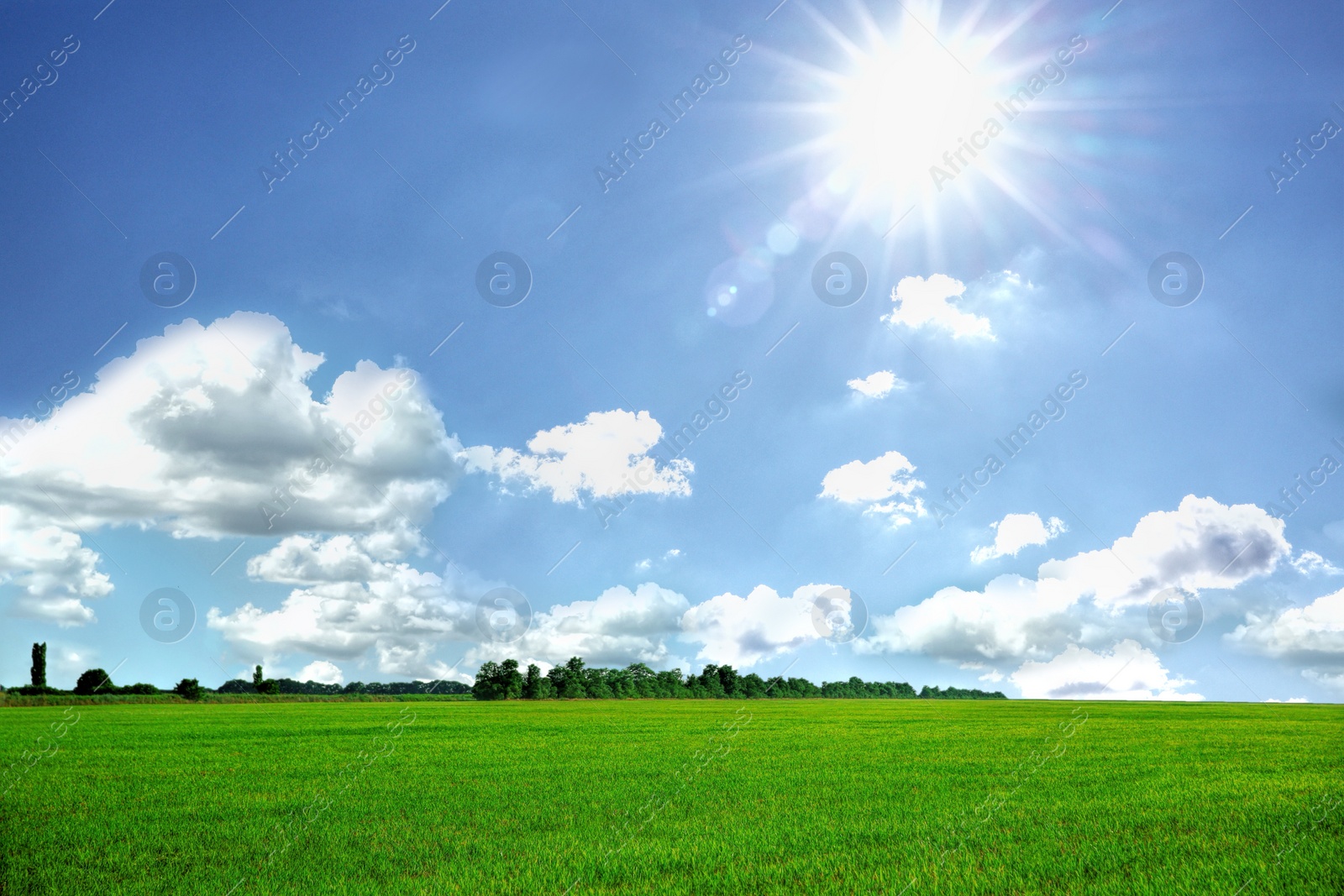 Image of Beautiful green field under blue sky with clouds