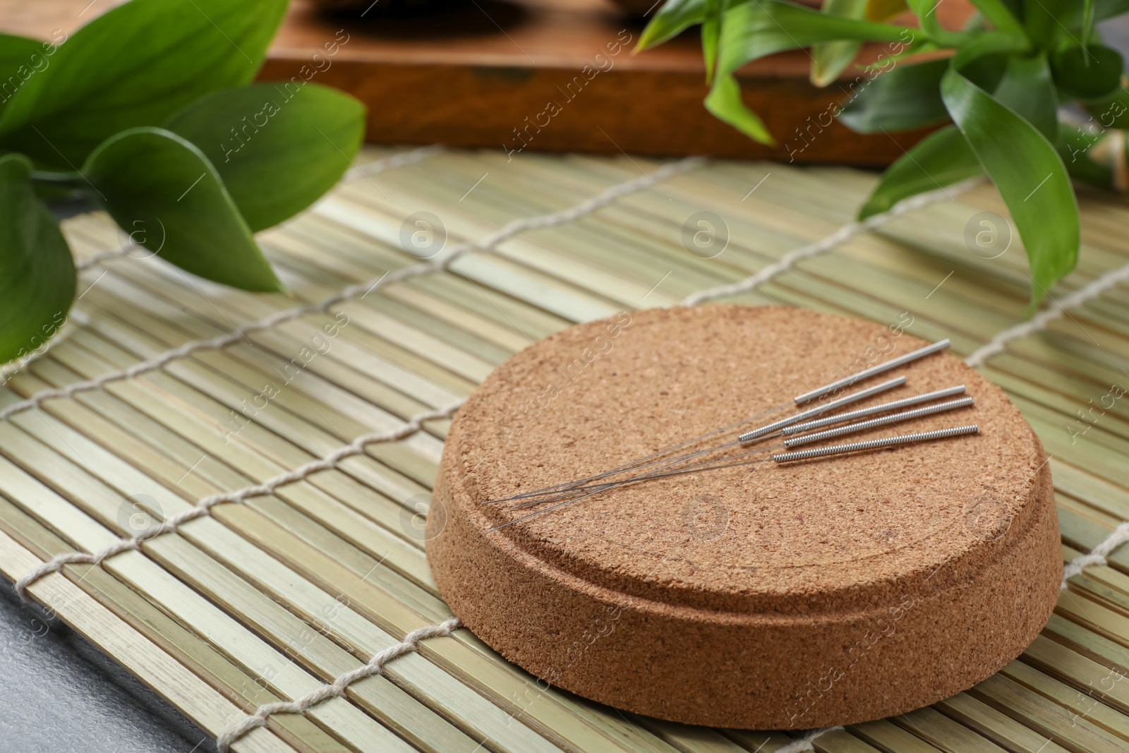 Photo of Cork stand with needles for acupuncture on bamboo mat