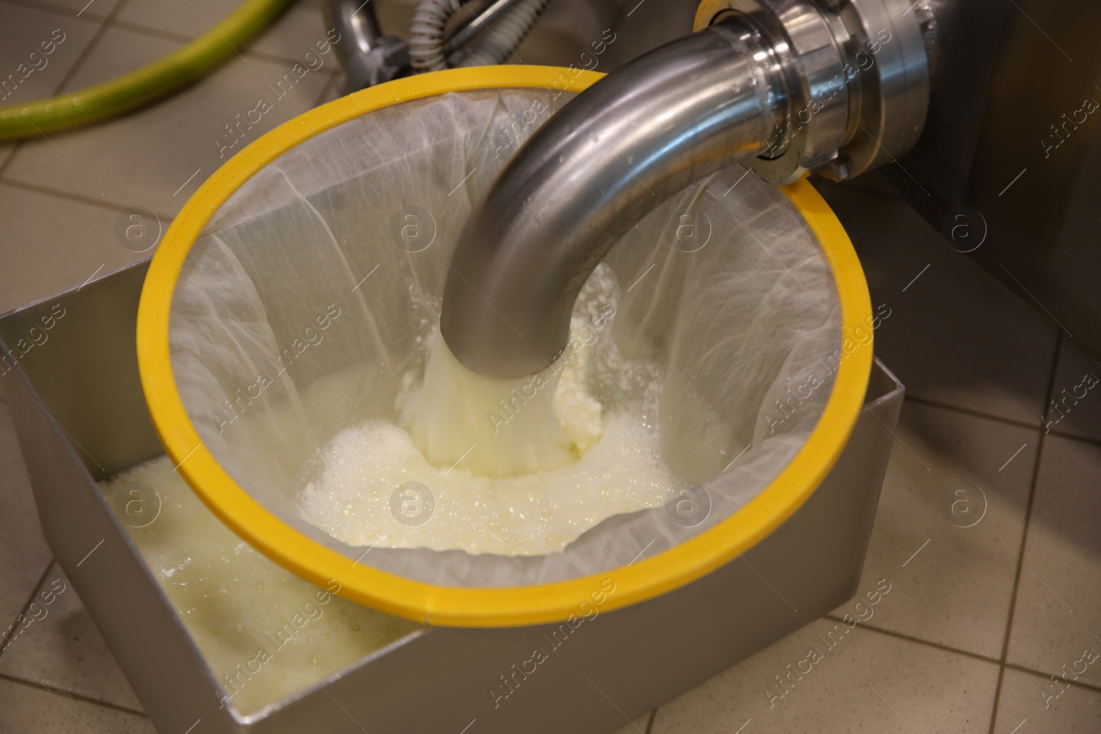 Photo of Draining whey from tank into sieve at cheese factory