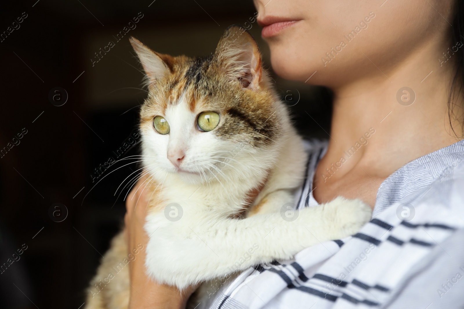 Photo of Woman holding homeless cat indoors. Concept of volunteering