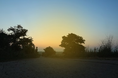 Picturesque view of rural road in morning