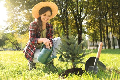 Photo of Young woman watering newly planted conifer tree in park on sunny day