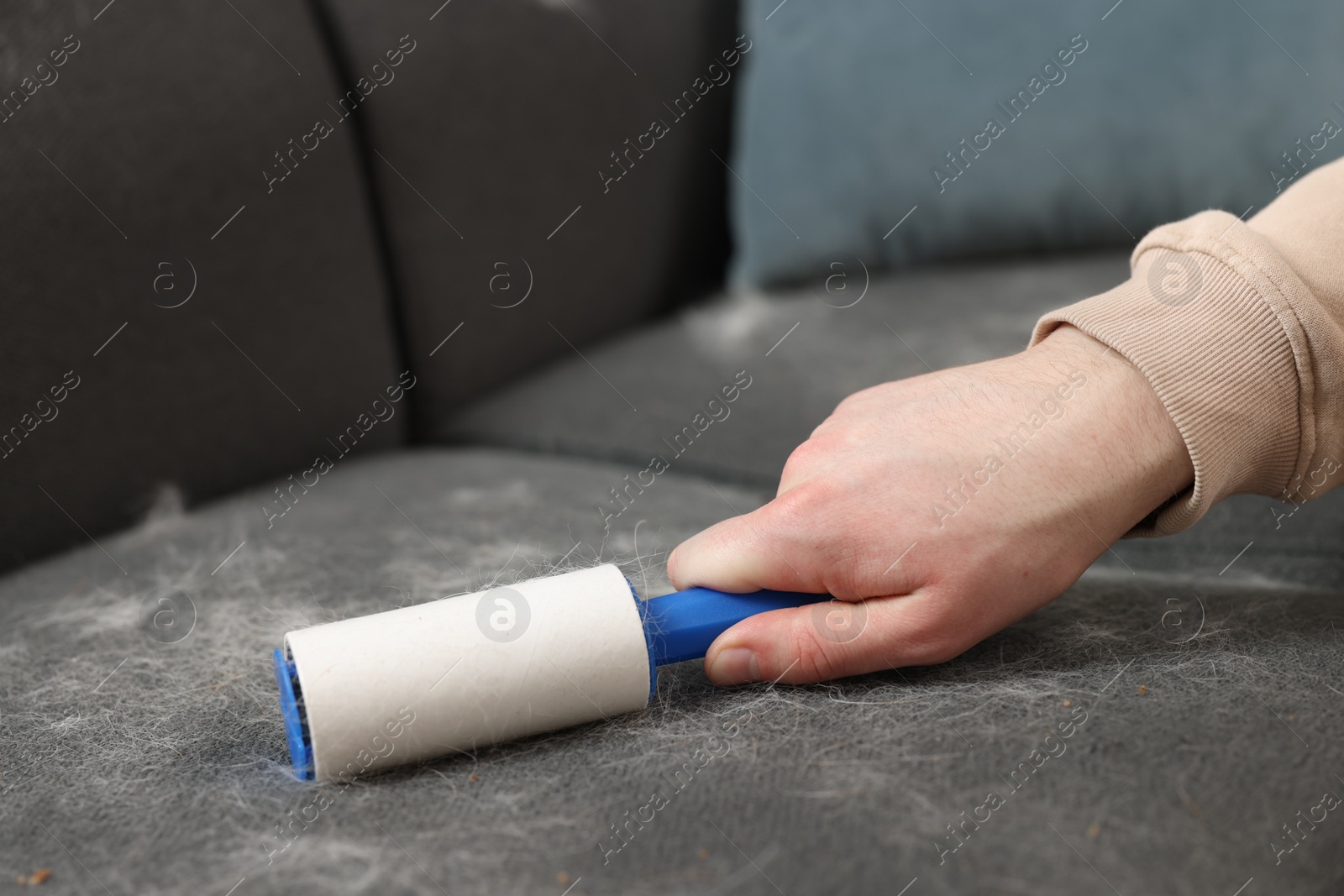 Photo of Pet shedding. Man with lint roller removing dog's hair from sofa, closeup