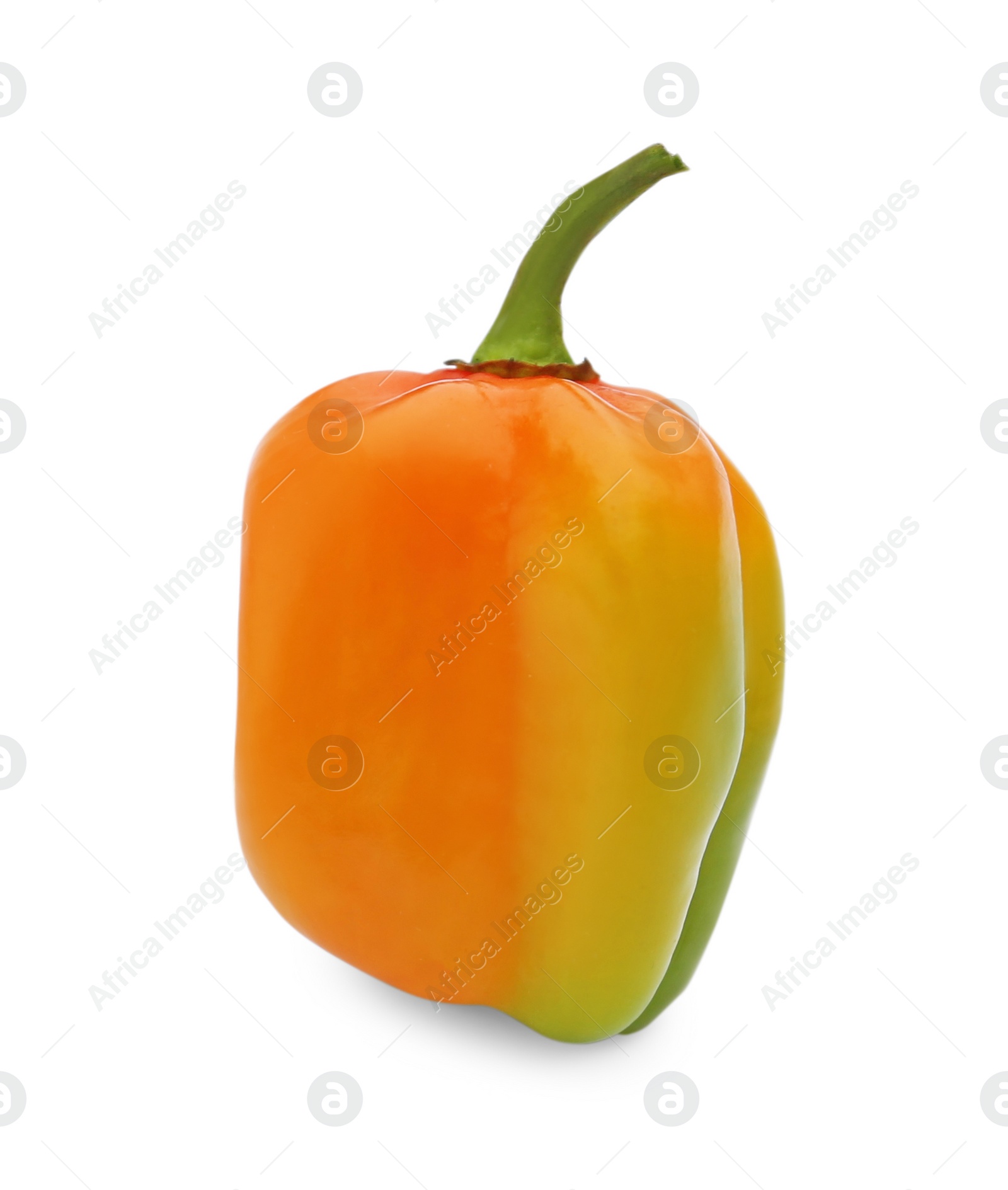 Photo of Fresh raw hot chili pepper isolated on white