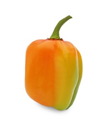Fresh raw hot chili pepper isolated on white