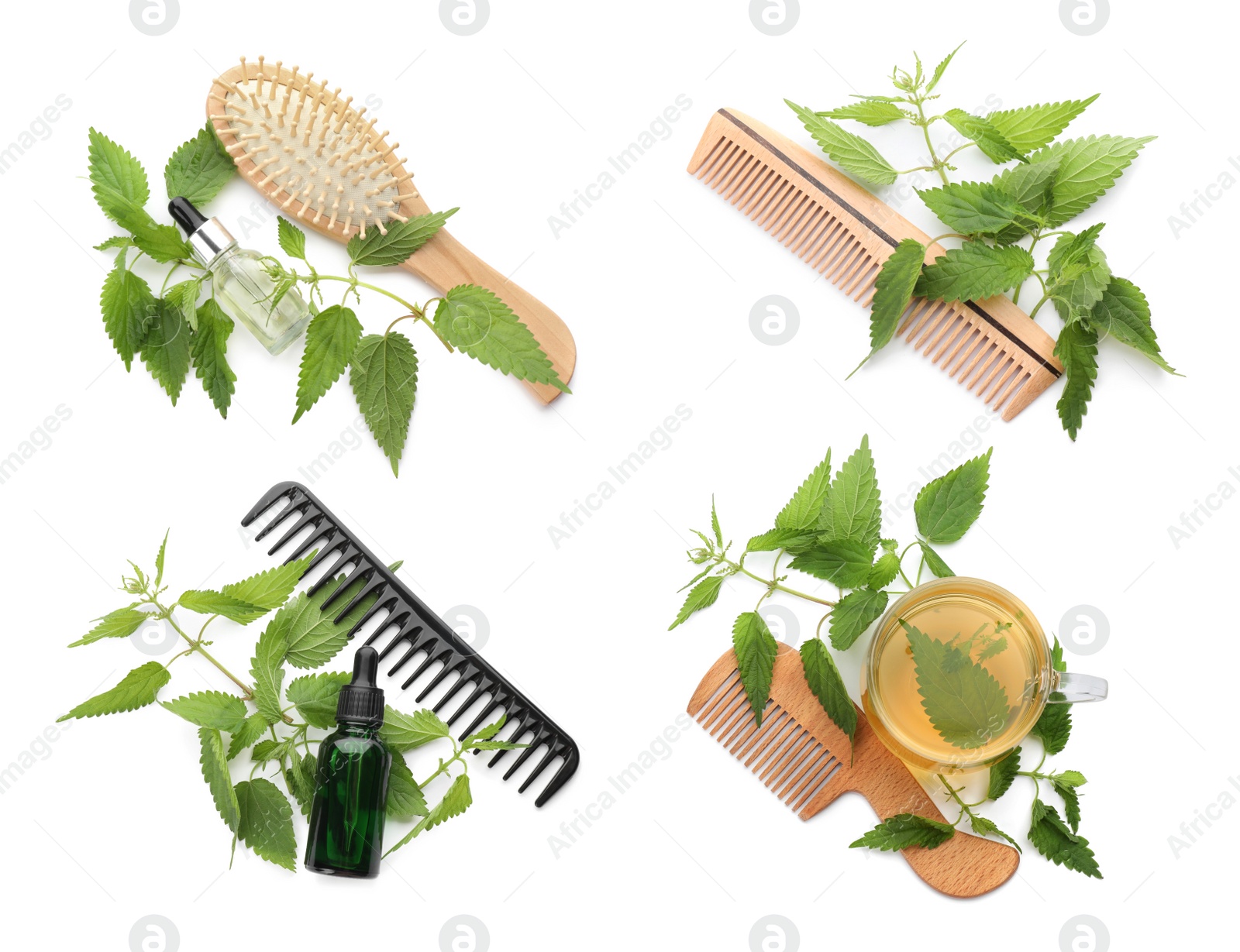 Image of Set with stinging nettle extract, infusion, combs, brush and green leaves on white background, top view. Natural hair care