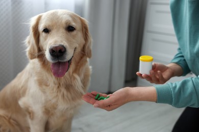 Woman giving pills to cute dog at home, closeup. Vitamins for animal