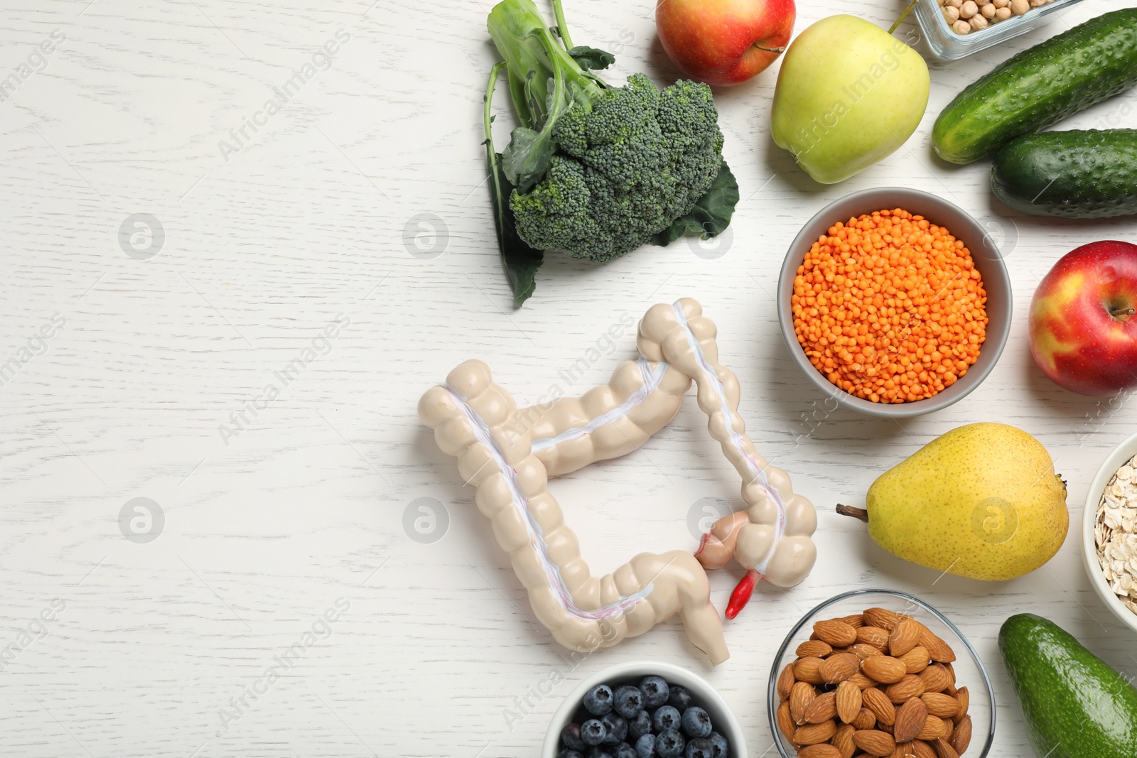 Photo of Anatomical model of large intestine and different organic products on white wooden background, flat lay. Space for text