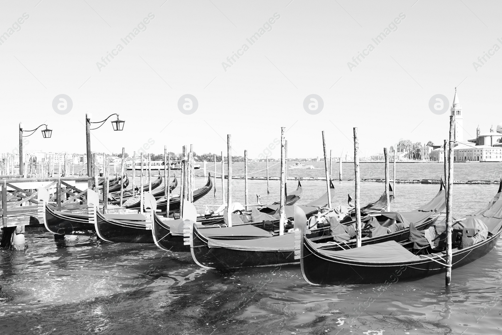 Image of VENICE, ITALY - JUNE 13, 2019: Different gondolas at pier. Black and white tone 