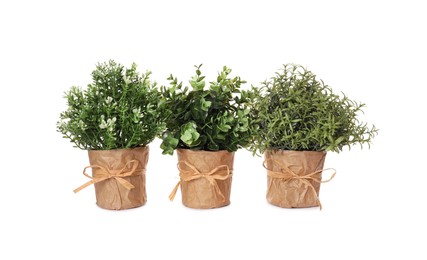 Artificial potted herbs on white background. Home decor
