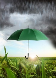 Image of Open green umbrella under heavy rain in field