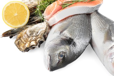 Photo of Fresh dorado fish, salmon and oyster on white background, closeup