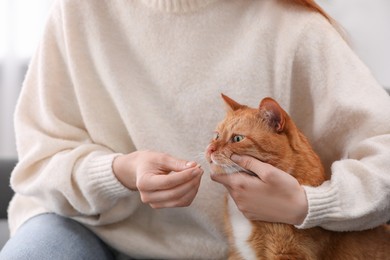 Woman giving vitamin pill to cute cat, closeup