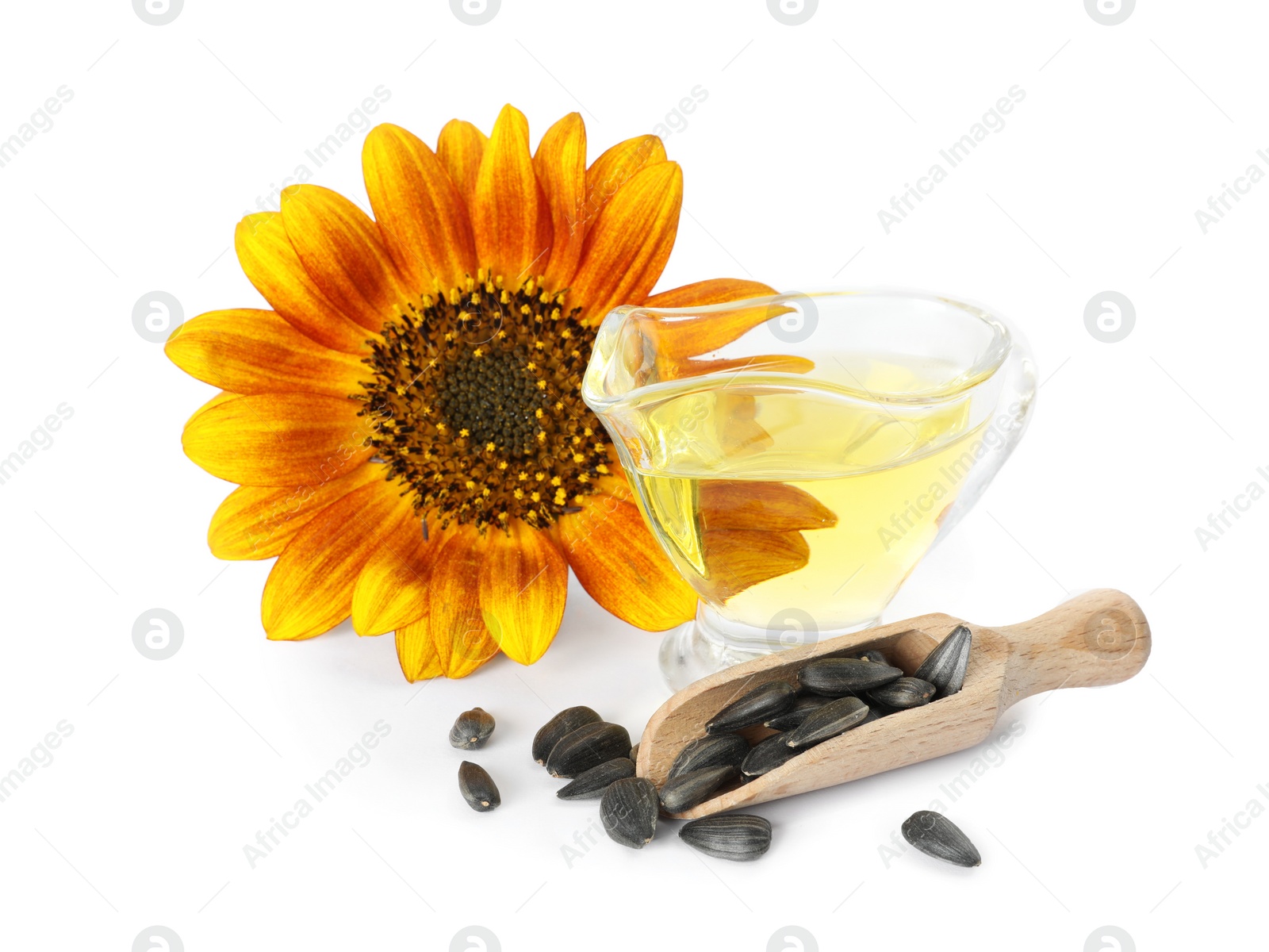 Photo of Sunflower, jug of oil and seeds on white background