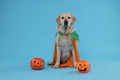Photo of Cute Labrador Retriever dog in Halloween costume with trick or treat buckets on light blue background