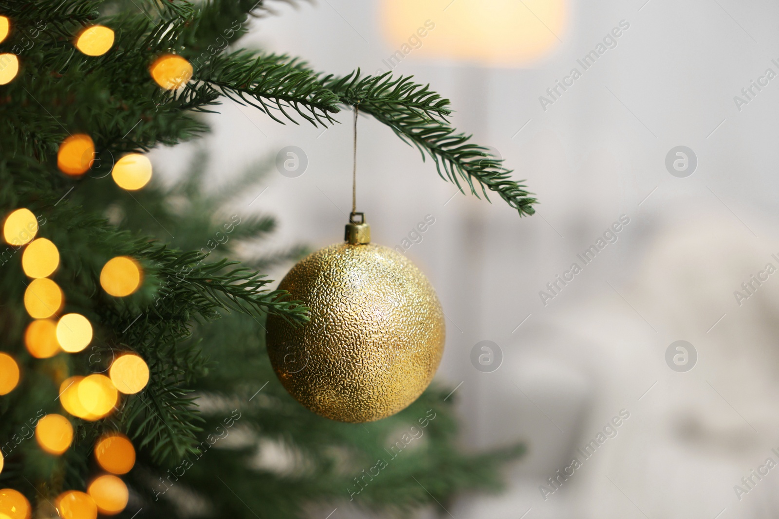 Photo of Christmas ball hanging on fir tree branch indoors, closeup. Space for text